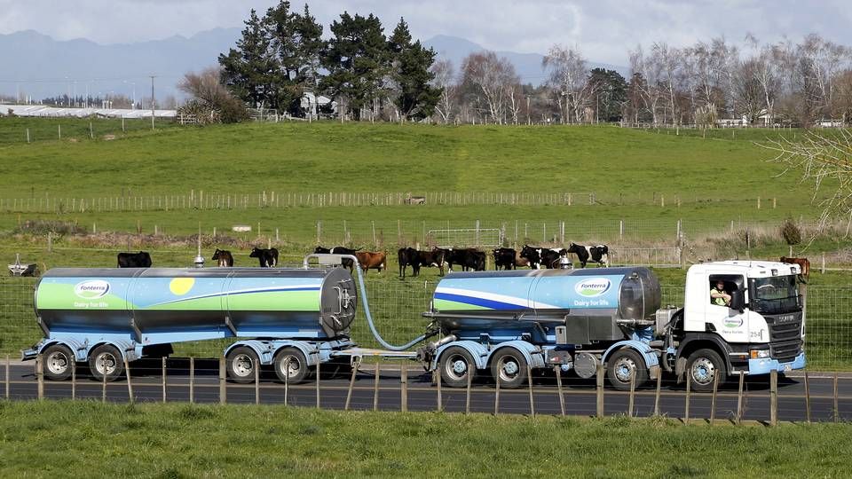 Fonterra er international mejerigigant med base i New Zealand. Produktionen er i høj grad afhængig af vind og vejr, idet den næsten udelukkende foregår på græs. | Foto: Nigel Marple/Reuters / Ritzau Scanpix