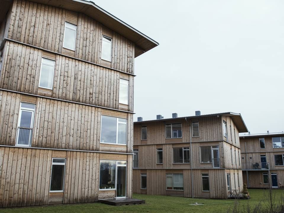 Et eksempel på bæredygtigt byggeri er en række tre og fire etagers træhuse i Lisbjerg, der blev opført sidste år af Al2Bolig. | Foto: Morten Lau-Nielsen/JPA