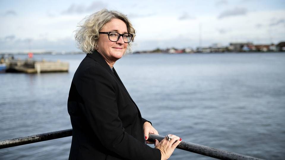 Anne H. Steffensen, der er adm. direktør i Danske Rederier. | Foto: Danske Rederier - PR