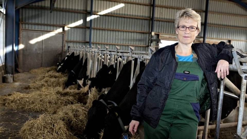 Lone Andersen, økologisk landmand og viceformand for Landbrug & Fødevarer. | Foto: LANDBRUG & FØDEVARER