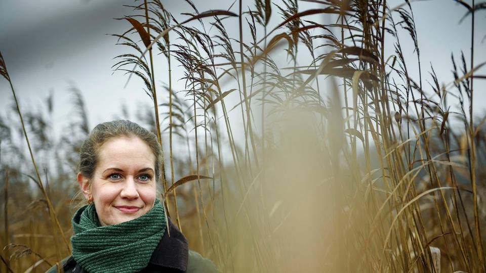 Foto: Niels Ahlmann Olesen/Ritzau Scanpix