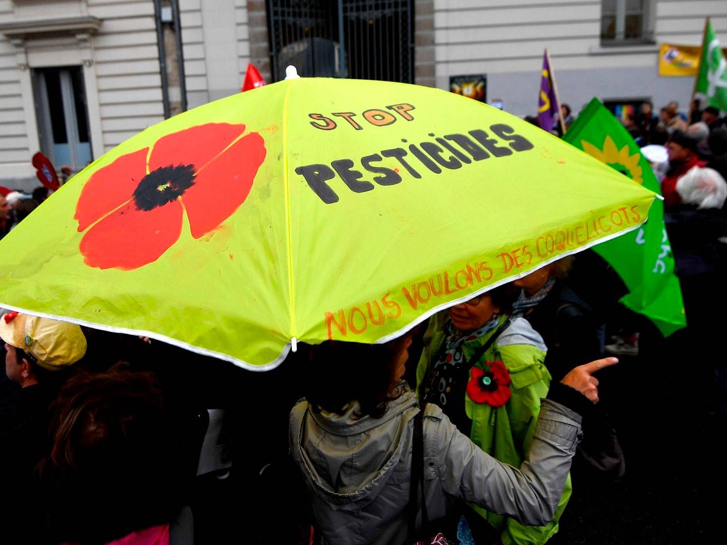 I Frankrig har debatten om brugen af pesticider raset længe. | Foto: Damien Meyer/AFP/Ritzau Scanpix