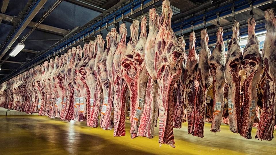 Danmark eksporterede fødevarer for 1,3 mia. kr. til Sydkorea i 2018. Et ton oksekød har en værdi af 43.000 kr. i Japan. | Foto: PR/Danish Crown
