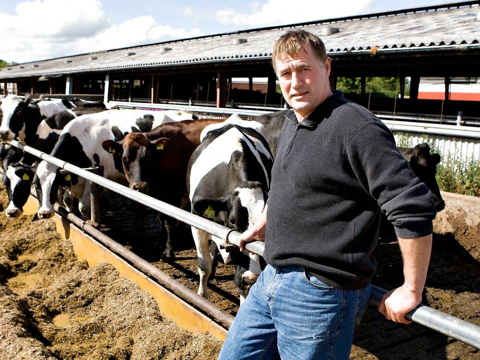 Kurt Jensen har omkring 2100 malkekvæg og er en af landets største mælkeproducenter. Han har været i branchen i 36 år og mener, at der gennem årene og særligt efter finanskrisen er kommet en anden opmærksomhed på økonomi i landbrugserhvervet. | Foto: Henning Bagger/Ritzau Scanpix