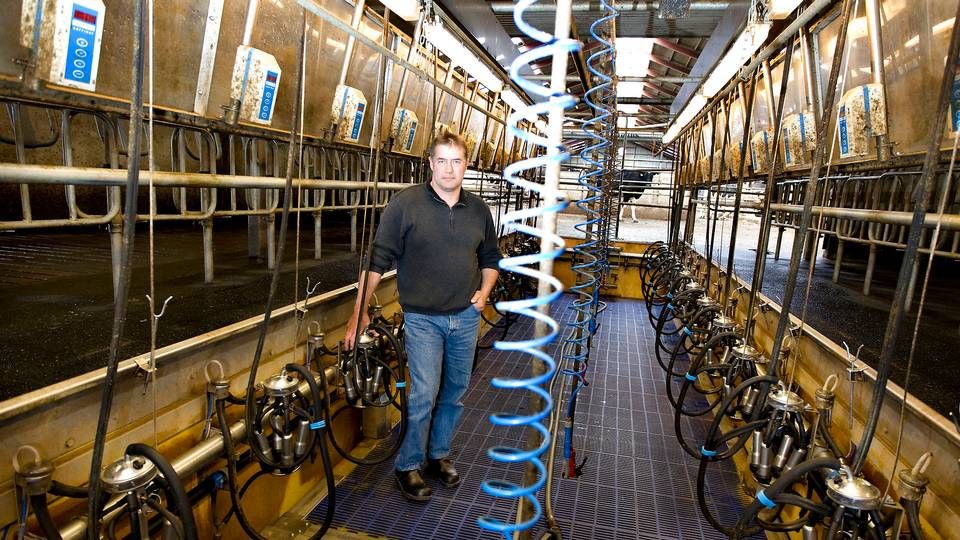 Kurt Jensen har omkring 2100 malkekvæg og er en af landets største mælkeproducenter. | Foto: Henning Bagger/Ritzau Scanpix