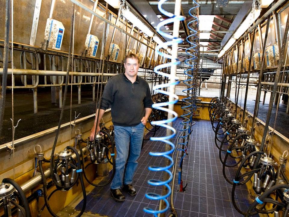 Kurt Jensen har omkring 2100 malkekvæg og er en af landets største mælkeproducenter. | Foto: Henning Bagger/Ritzau Scanpix