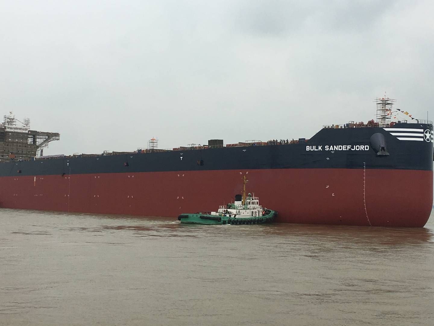 Foto: PR / 2020 Bulkers