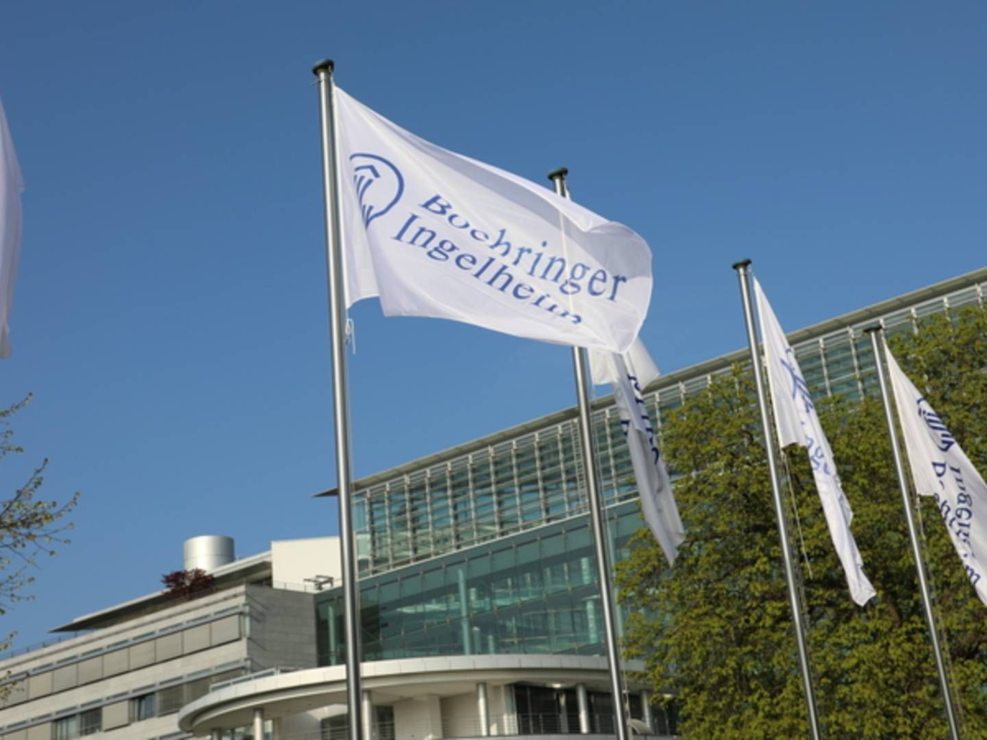 Det gør ondt på Boehringer, fastslår selskabet, at FDA har afvist at anbefale virksomhedens middel Jardiance i behandling af patienter med type 1-diabetes. | Foto: Boehringer Ingelheim / PR