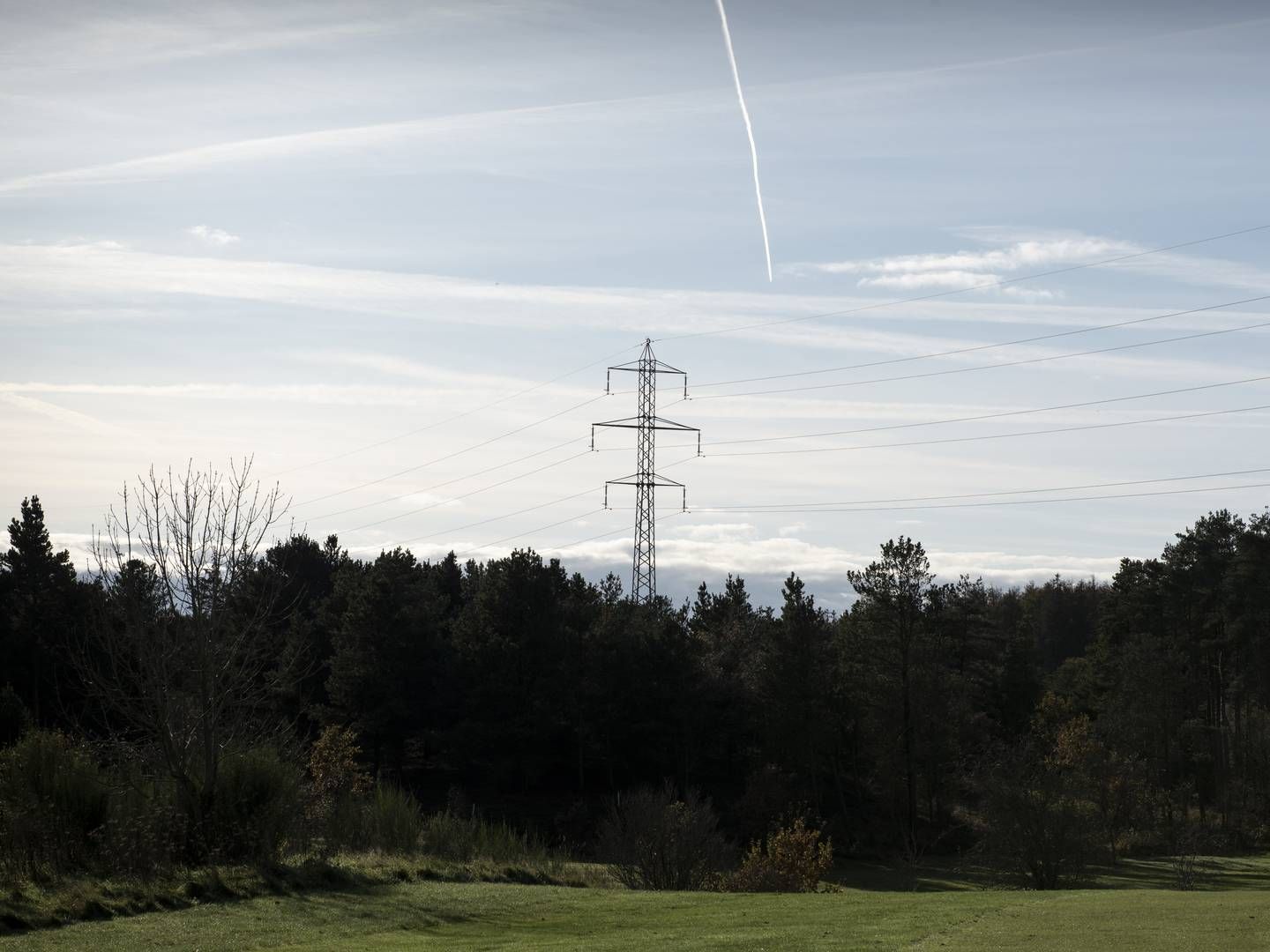 Jan Clemmensen vil gerne have masterne tæt på, så han kan komme af med sit hus til Energinet. Han bor ca. 65 meter fra masterne. Her er den eksisterende el-mast. | Foto: Christian Lykking/IND