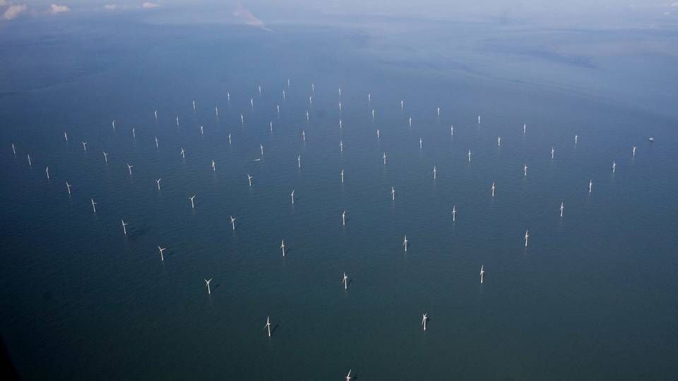 Ud for Esbjerg ligger vindmølleparken Horns rev som består af 80 vindmøller. | Foto: Carsten Ingemann/IND