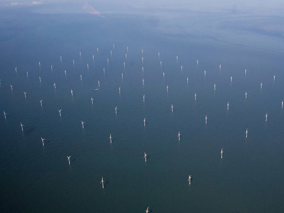 Ud for Esbjerg ligger vindmølleparken Horns rev som består af 80 vindmøller. | Foto: Carsten Ingemann/IND