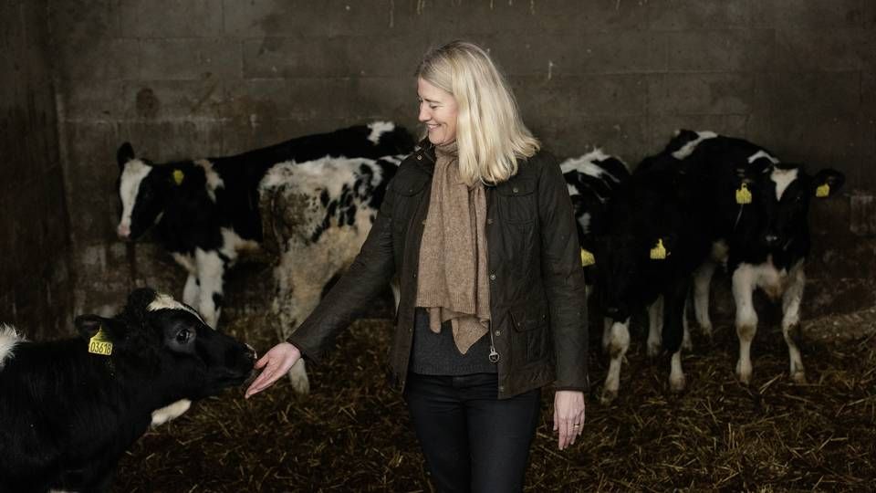 Direktør i Landbrug & Fødevarer Anne Arhnung er tæt knyttet til dansk landbrug, som fylder meget både i hendes job og privatliv | Foto: Casper Dalhoff