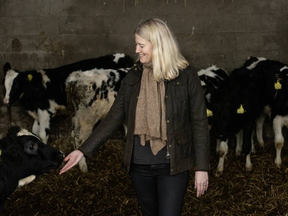 Direktør i Landbrug & Fødevarer Anne Arhnung er tæt knyttet til dansk landbrug, som fylder meget både i hendes job og privatliv | Foto: Casper Dalhoff