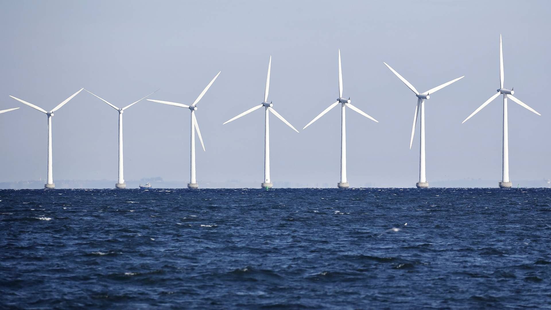 "Det vil give god mening for industrien med én samlet energiklynge," siger Lotte Friis. | Foto: Her ses havvindmøller fra Amager Strand