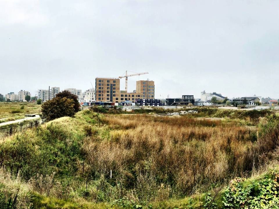 Arkitektfirmaerne Mangor & Nagel Arkitekter og Tegnestuen Vandkunsten skal tegne fem karréer med 500 bæredygtige boliger i Søndre Havn i den nye bydel Køge Kyst. | Foto: PR/Mangor & Nagel