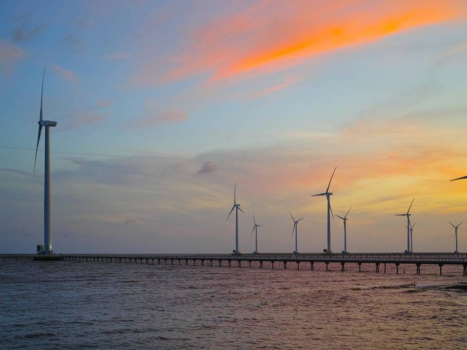 Intertidal wind farm in Bạc Liêu province. | Photo: Wikipedia Commons