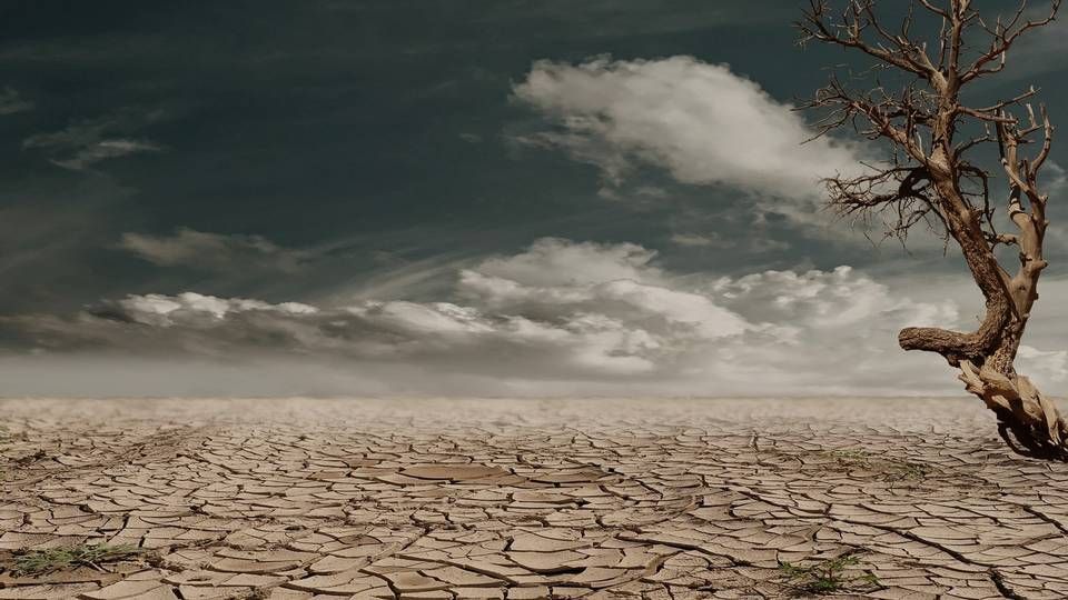 Foto: Pexels