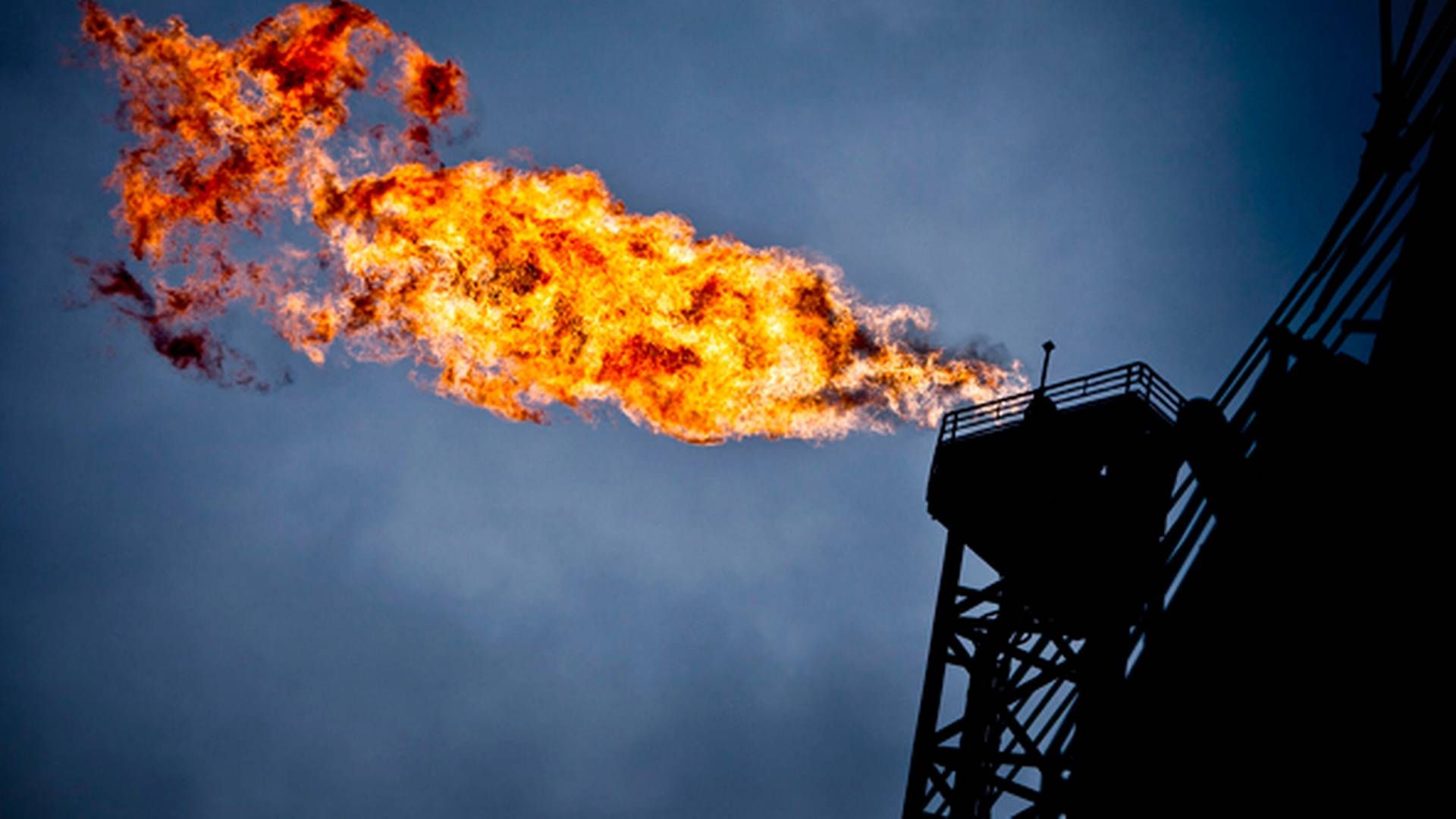 Når olieselskaber benytter sig af flaring, fyrer de for gråspurvene. Den sikkerhedsmæssige naturgas-afbrænding er samtidig belastende for miljøet. | Foto: Magnus HolmPolitikenRitzau Scanpix