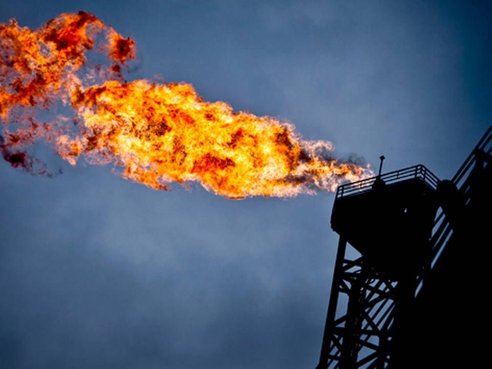 Når olieselskaber benytter sig af flaring, fyrer de for gråspurvene. Den sikkerhedsmæssige naturgas-afbrænding er samtidig belastende for miljøet. | Foto: Magnus HolmPolitikenRitzau Scanpix