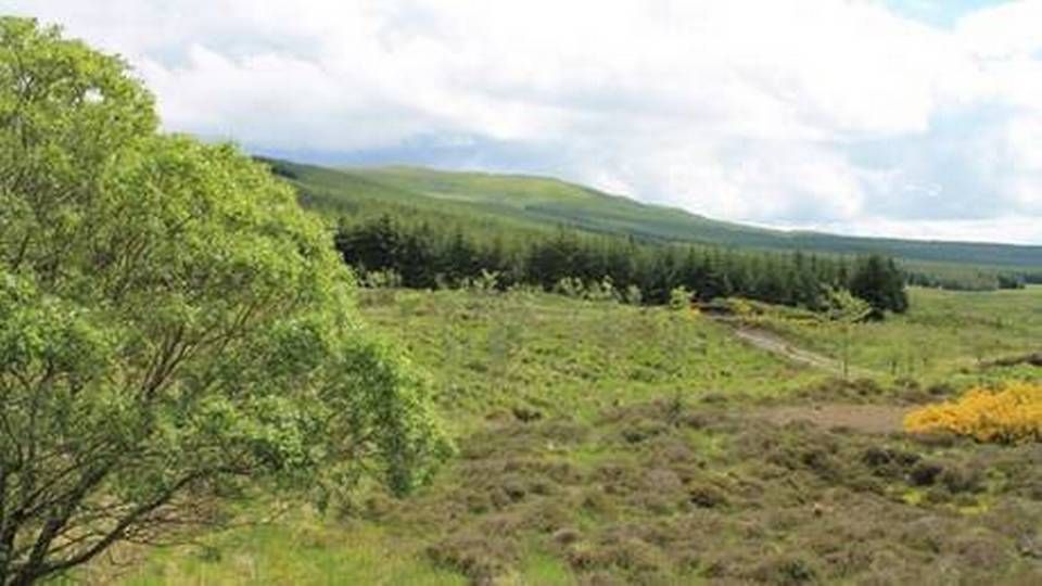 This is the future location of Windy Rig. In 2021 there will be 12 wind turbines here. | Photo: PR / Statkraft
