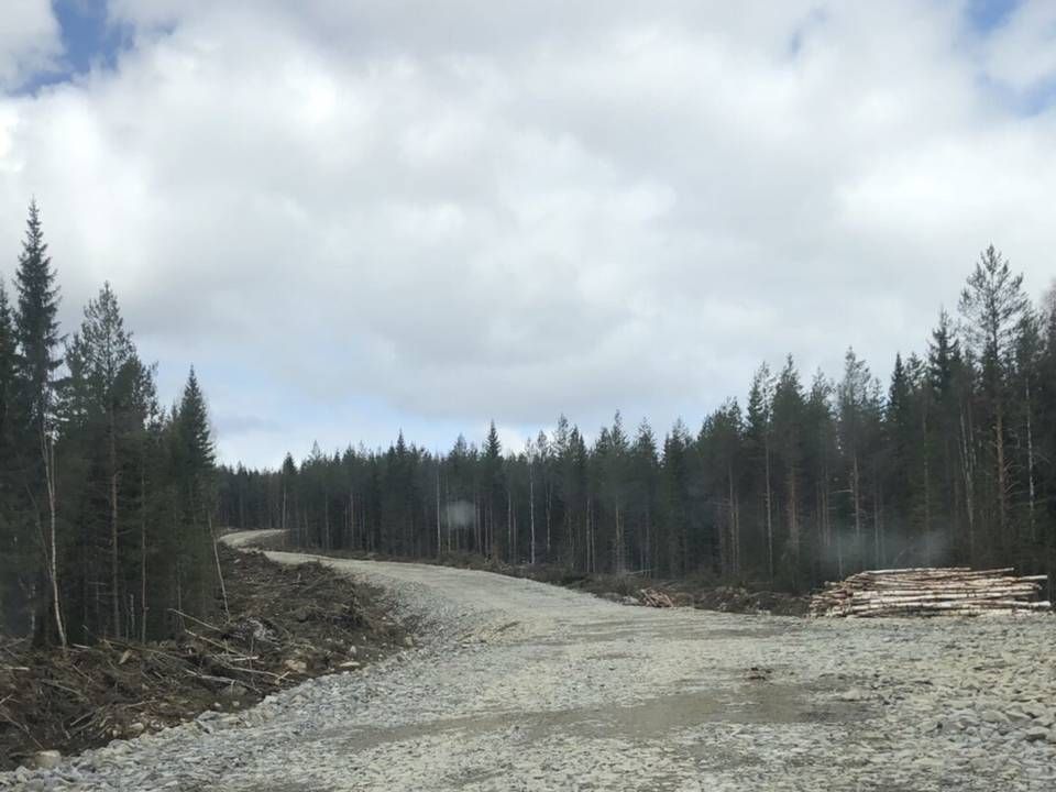 Vejen til at få opført Nysäter-projektet på 475 MW har været brolagt med bøvl – blandt andet på grund af ulovligt anlagte veje. | Foto: Nysäter Wind