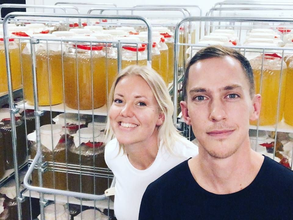 Line Hoff og Eric Sponseller, der står bag selskabet Læsk, vil være førende producent af kombucha i Europa. De ejer hver 35 pct. af selskabet. | Foto: PR/Læsk