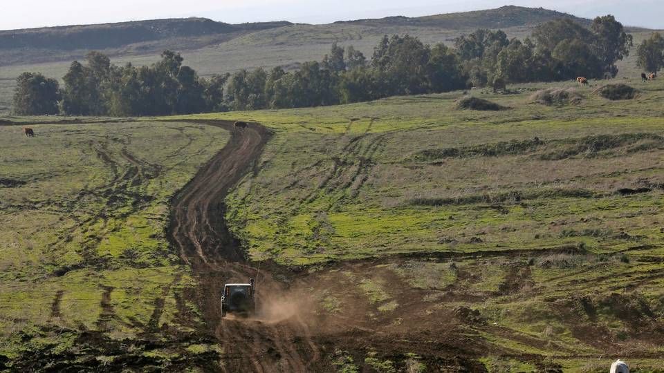 Foto: JALAA MAREY/AFP / AFP