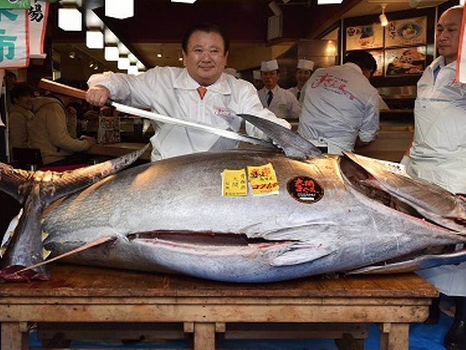 Kiyoshi Kimura, chef for Kiyomura, poserer her foran den 276 kilo tunge tunfisk, som han har købt. | Foto: Foto: Kazuhiro Nogi/Ritzau Scanpix