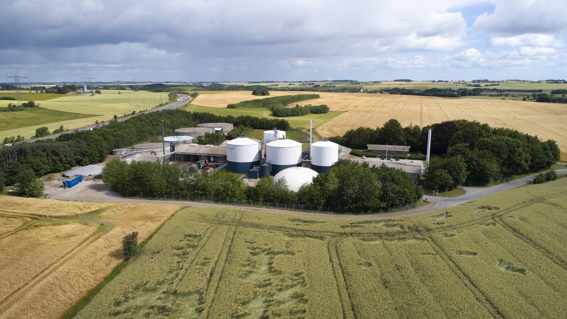 Statsstøtten til biogas toppede i 2018, men nu kan det danske biogas-eventyr være slut. | Foto: PR Nature Energy