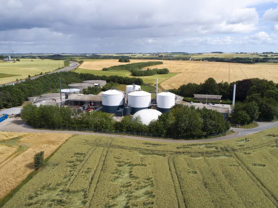 Statsstøtten til biogas toppede i 2018, men nu kan det danske biogas-eventyr være slut. | Foto: PR Nature Energy