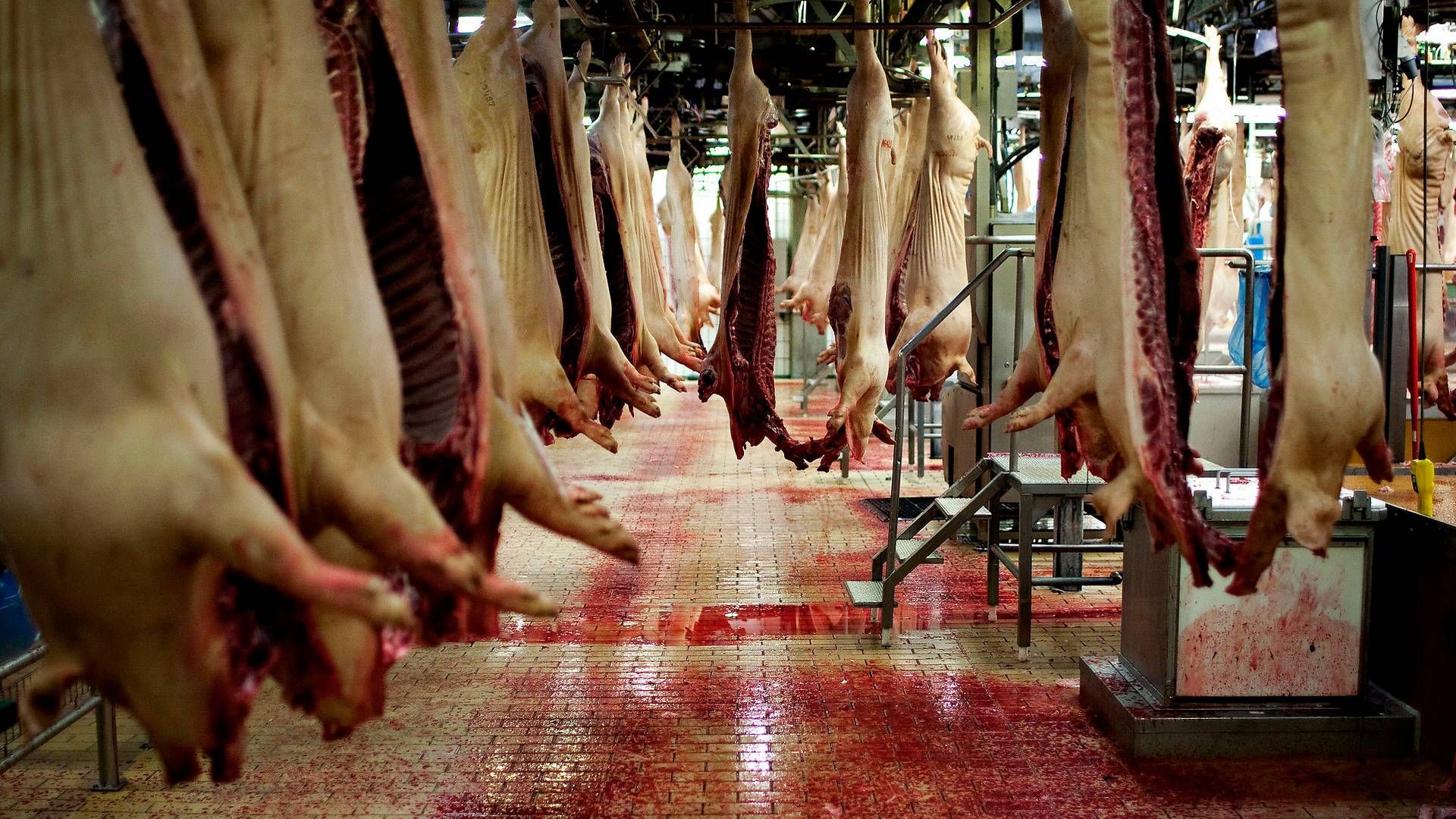 Foto: Joachim Adrian/Politiken/Ritzau Scanpix