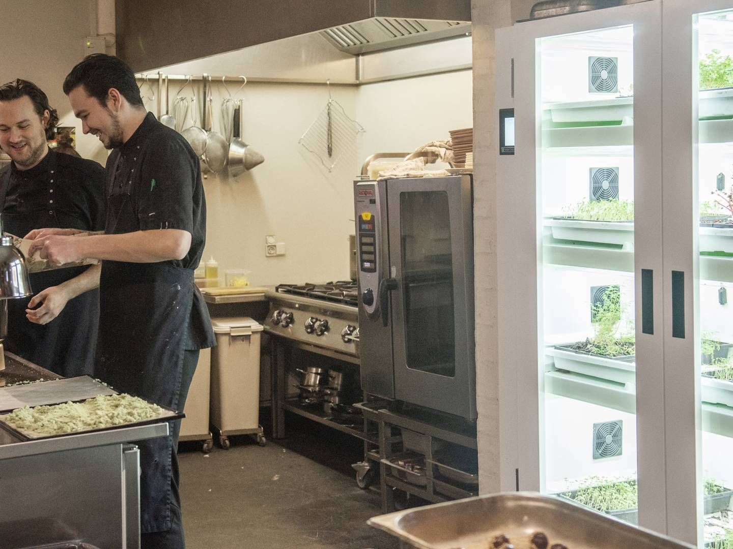 Restaurant Moment på Djursland er blandt de ti gastroambassadører, der skal promovere Region Midjylland. | Foto: Stine Rasmussen/Ritzau Scanpix