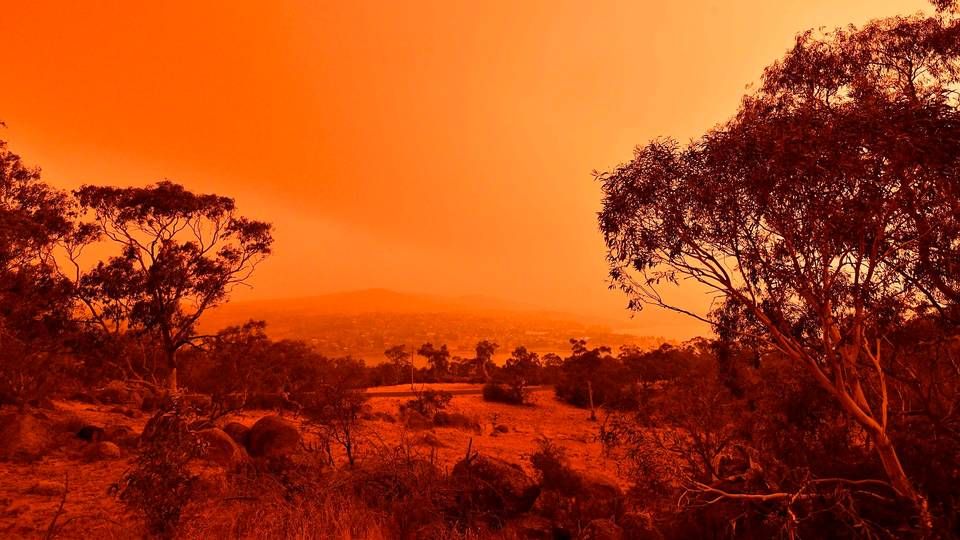 Røgen fra bushfires maler himlen rød i New South Wales, Australien. | Foto: Saeed Khan/AFP/Ritzau Scanpix