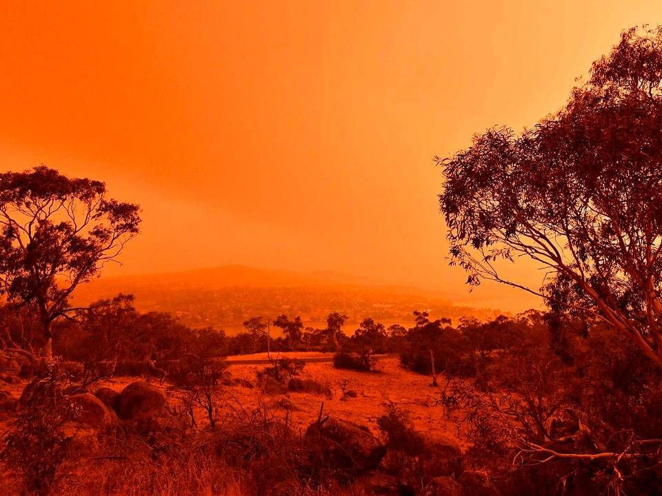 Røgen fra bushfires maler himlen rød i New South Wales, Australien. | Foto: Saeed Khan/AFP/Ritzau Scanpix
