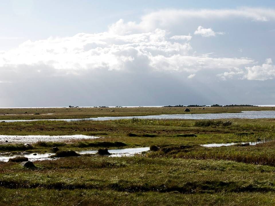 En skovarbejderbolig på Læsø i Kattegat er blandt de i alt 22 statslige ejendomme, som Freja Ejendomme nu skal forsøge at udvikle og sælge. | Foto: Per Folkver / Ritzau Scanpix