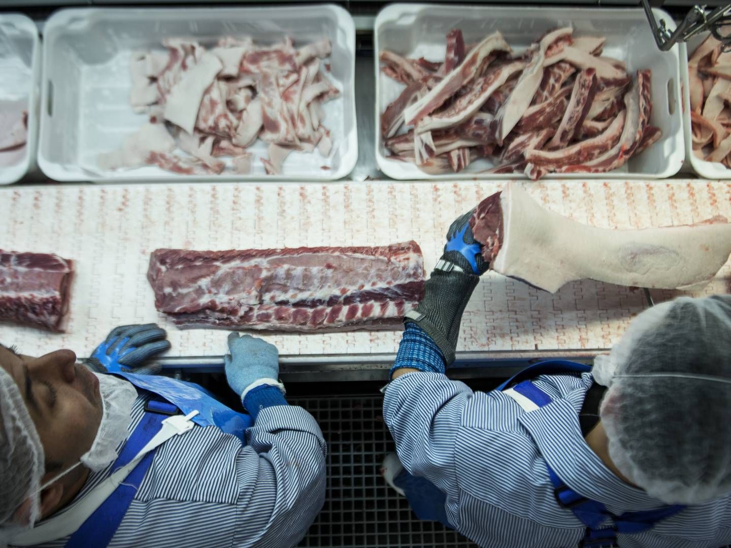 Udbrud af svinepest har kostet 200 mio. grise livet i Kina. Det har udløst ekstreme prisudsving, som øger risikoen for tab i danske handelshuse. | Foto: Cicilie S. Andersen / Ritzau Scanpix