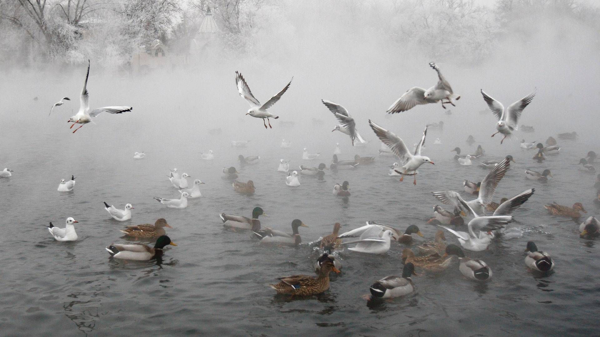 Foto: Bernadett Szabo/Reuters/Ritzau Scanpix