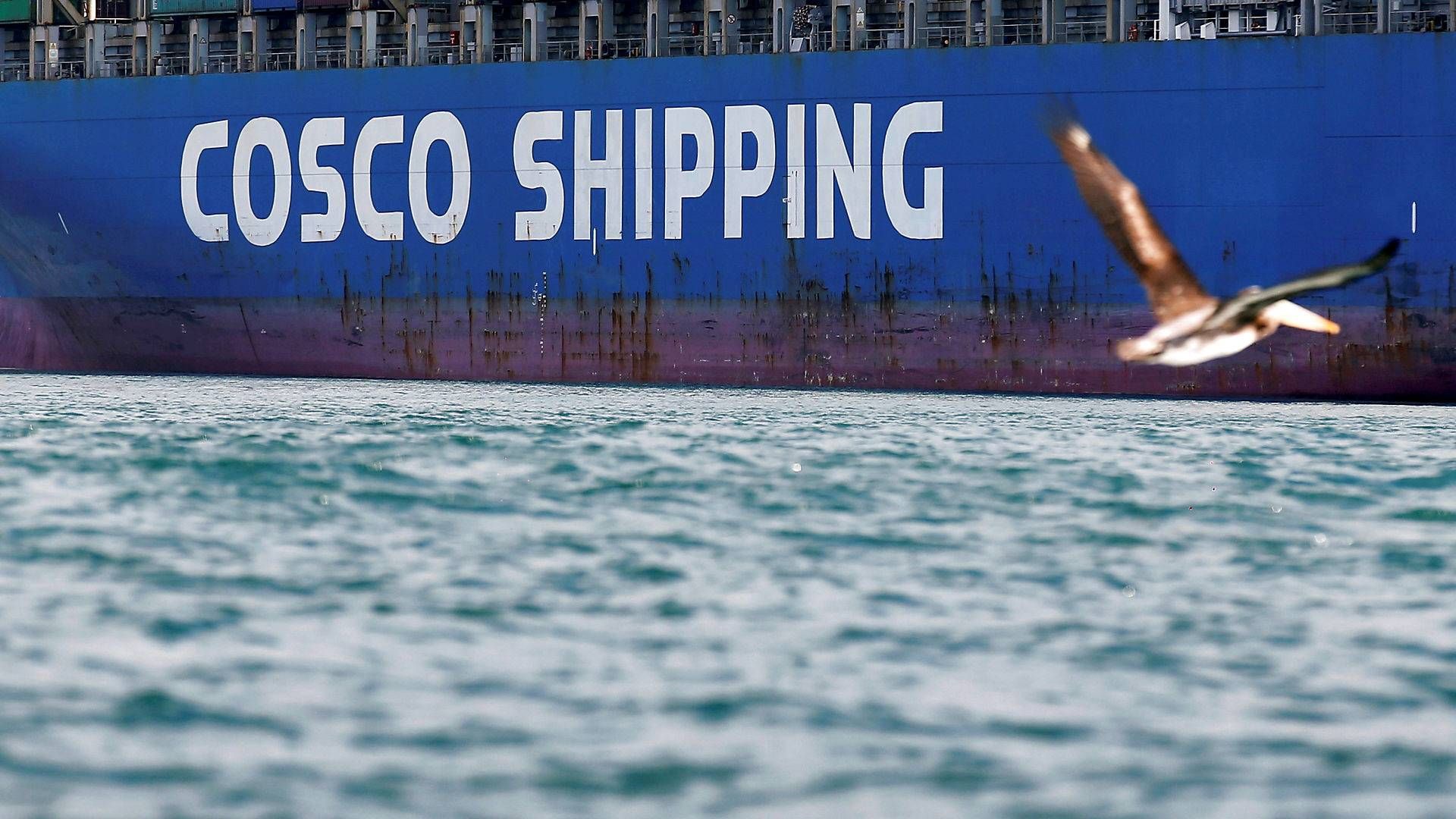 China's Cosco is the world's third-largest container line after Maersk and MSC. | Photo: Rodrigo Garrido/Reuters/Ritzau Scanpix