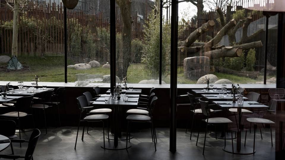 Pandasatsningen har givet pote for København Zoo, som i april 2019 fik to pandaer. Det har ifølge København Zoo givet mange flere gæster. En af de tre nye restauranter har udsigt til buret. | Foto: Jacob Ehrbahn/Ritzau Scanpix