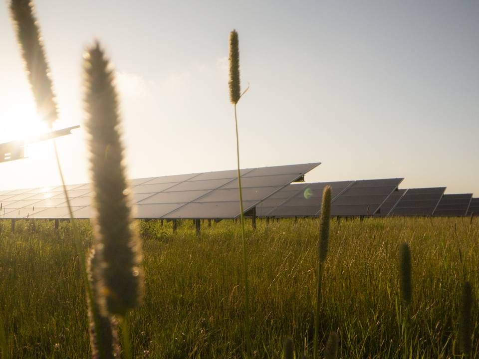 På lige over 40 år er prisen på solceller faldet fra 80 dollar til 25 cent per watt. | Foto: Better Energy