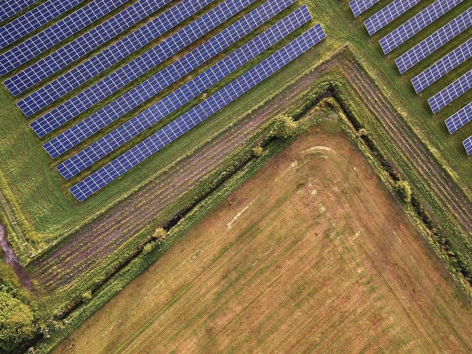 Solenergi er vejen frem, mener Better Energy, som har solgt en del af selskabet til fransk kapitalfond | Foto: Better Energy