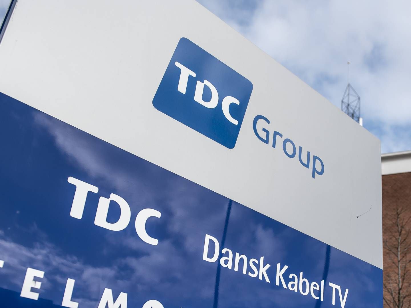 TDC Erhverv mister en direktør. | Foto: Mads Claus Rasmussen//