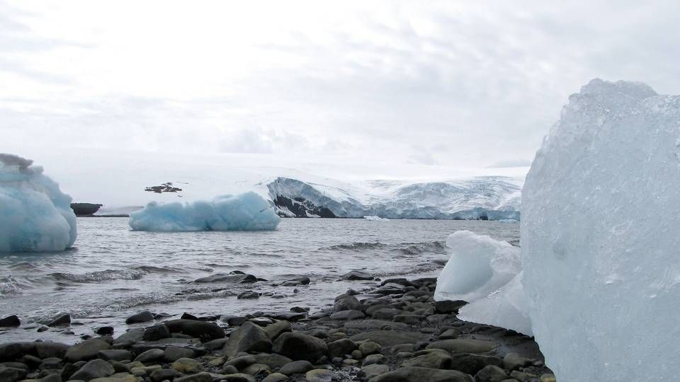 Foto: Staff/Reuters/Ritzau Scanpix