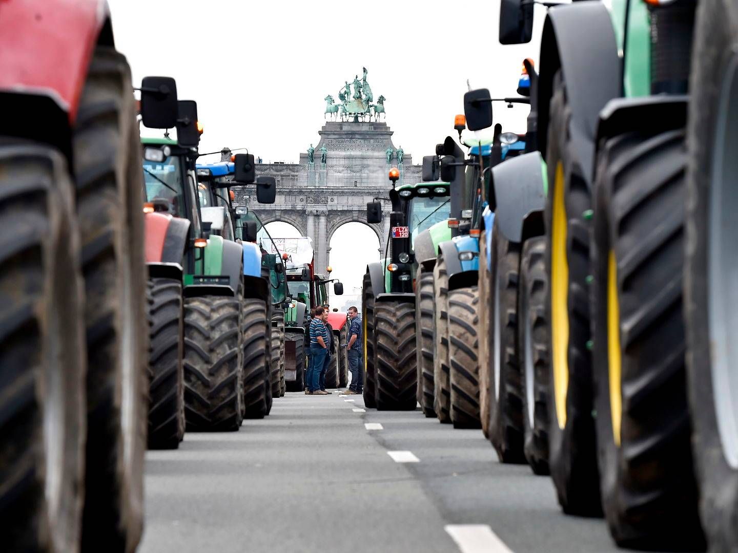 Billedet her er fra demonstrationerne i Berlin | Foto: Eric Vidal/Reuters/Ritzau Scanpix