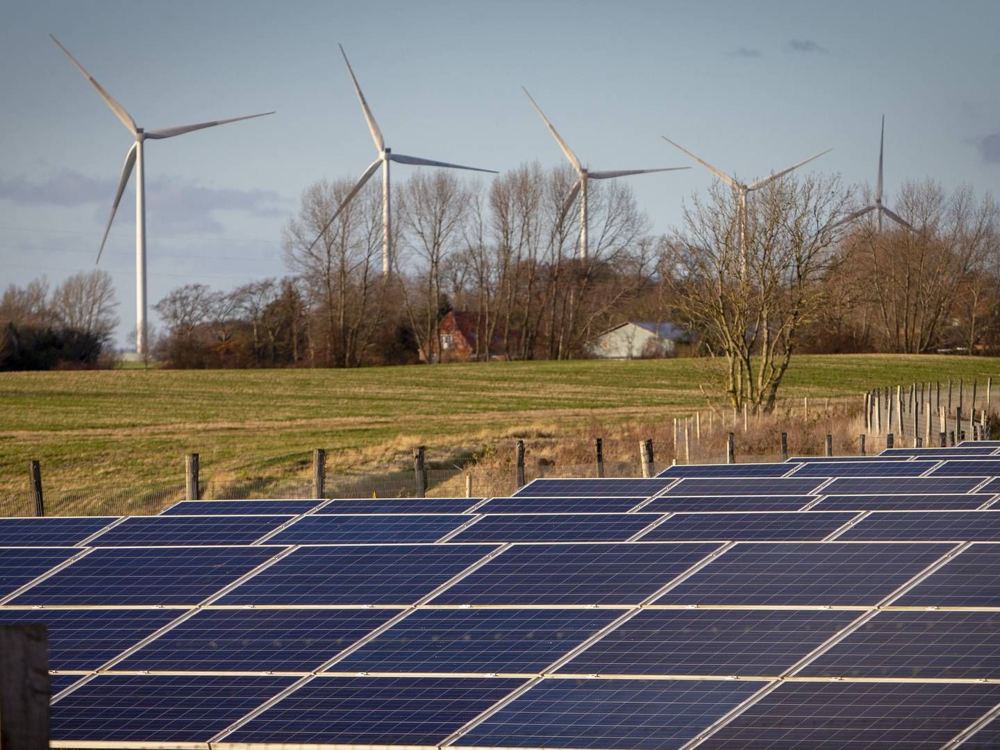 Europæiske investorer sendte i 2019 et rekordhøjt beløb efter ansvarlige og klimavenlig fonde - herunder fonde med investeringer i alternativ energi som vindmøller og solenergi. | Foto: REEL