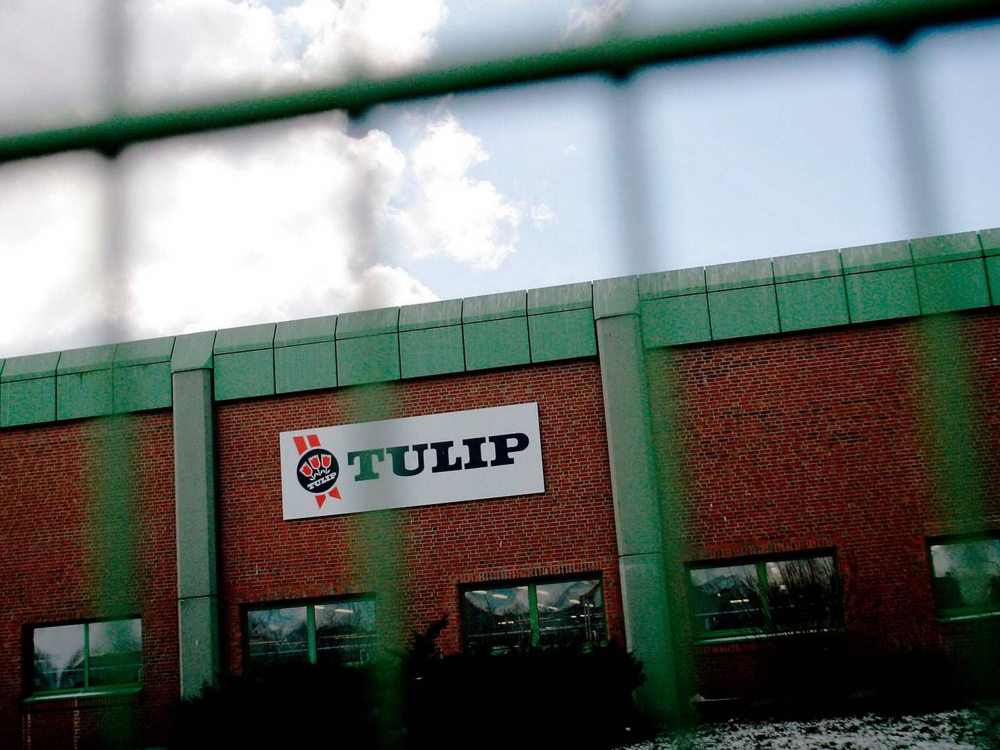 Britiske Tulip Ltd. har de seneste fire år haft et samlet underskud før skat på over 2,1 mia. kr. | Foto: Mads Nissen/Politiken/Ritzau Scanpix