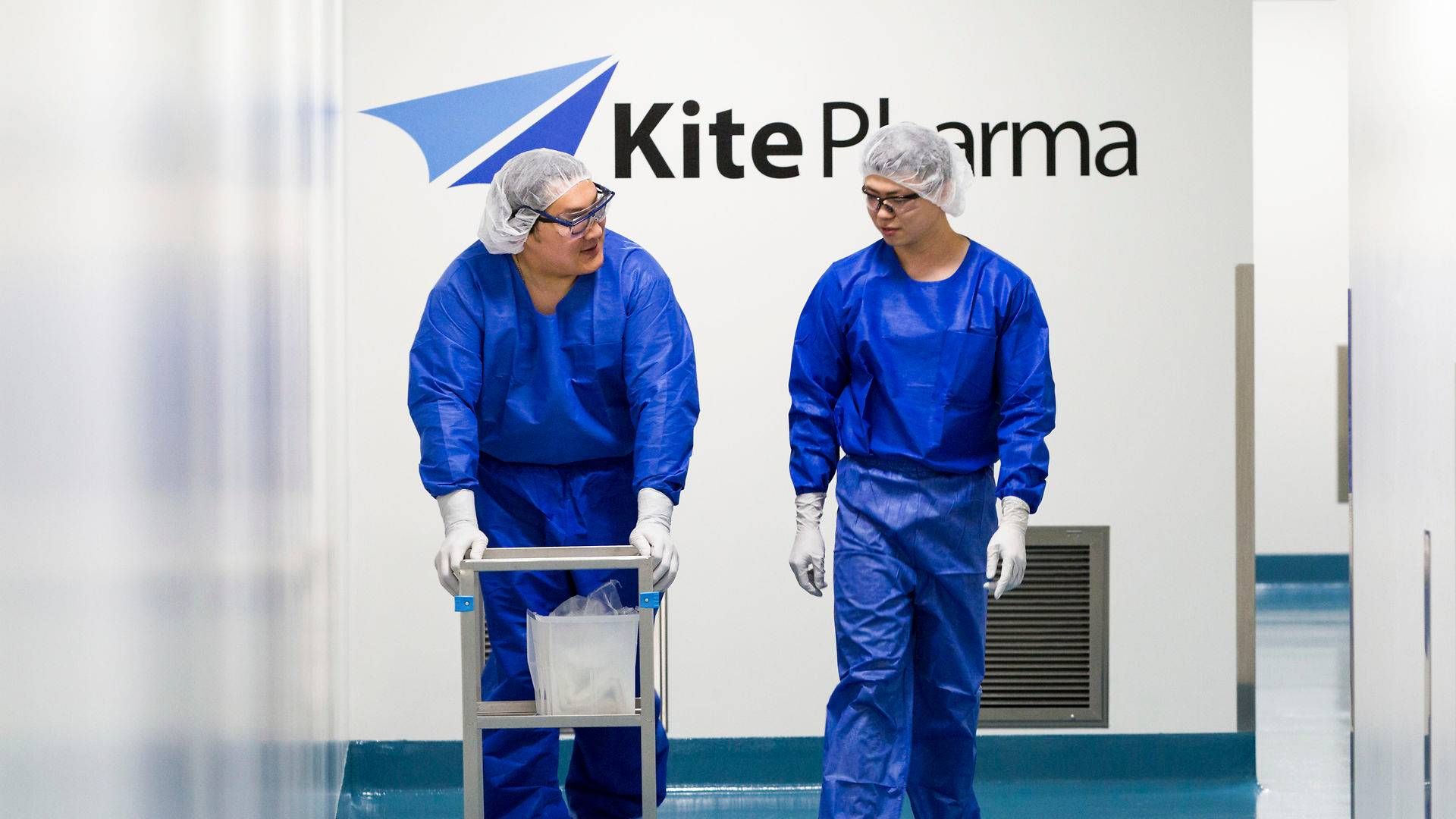 Gilead overtog lægemiddelkandidaten KTE-X19 i forbindelse med købet af Kite Pharma. | Foto: AP/Ritzau Scanpix