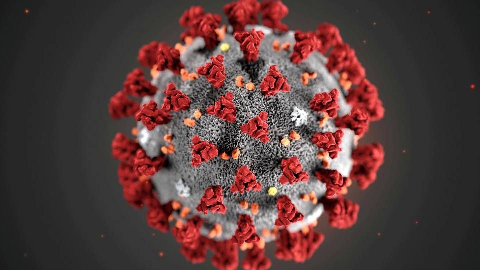 En illustration af den nye coronavirus, som nu hedder covid-19, udarbejdet af de statslige amerikanske Centers for Disease Control and Prevention (CDC). | Foto: Handout / Reuters / Ritzau Scanpix