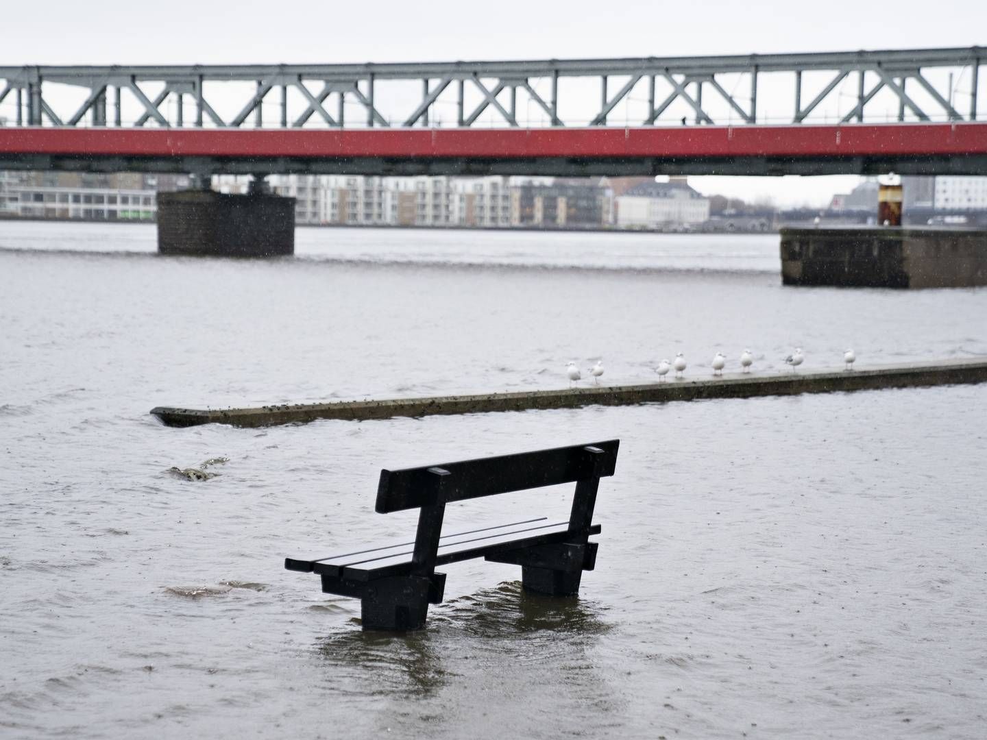 Stormen førte til oversvømmelser i Danmark og minuspriser i Sverige. | Foto: HENNING BAGGER/Henning Bagger / henning bagger