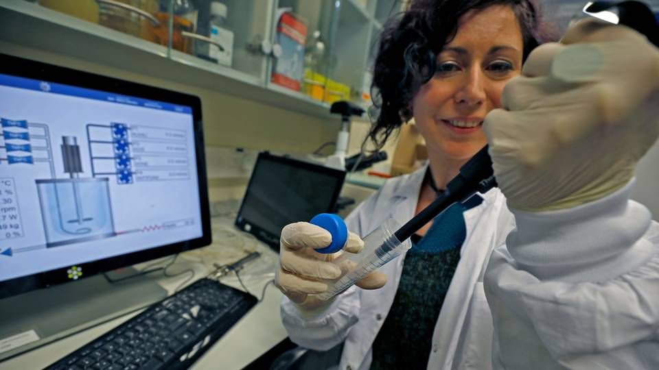 En israelsk forsker arbejder i laboratoriet på Migal-forskningsinstituttet i Kiryat Shmona i Israle, hvor de forsøger at få en vaccine klar mod Sars-cov-2. | Foto: JALAA MAREY/AFP / AFP